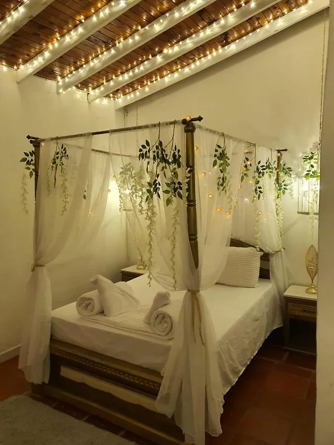Hotel Boutique El Faro By Aromax 메딜린